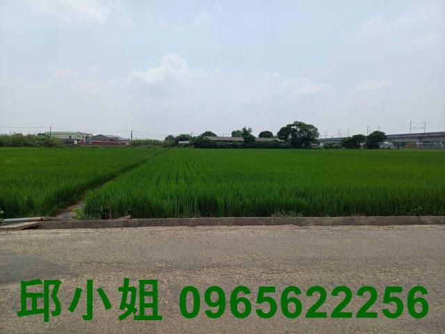 鹿草農地-0