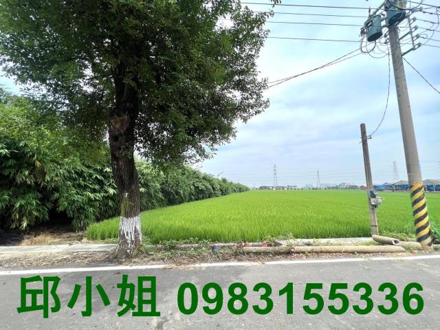 民雄農地-0