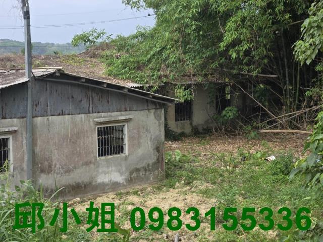 民雄農地-8