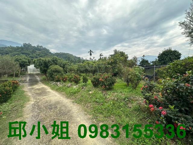竹崎農地-9