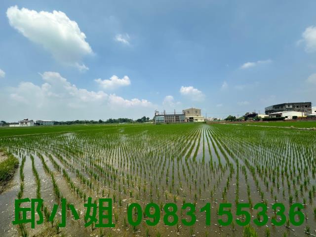 東區農地-0