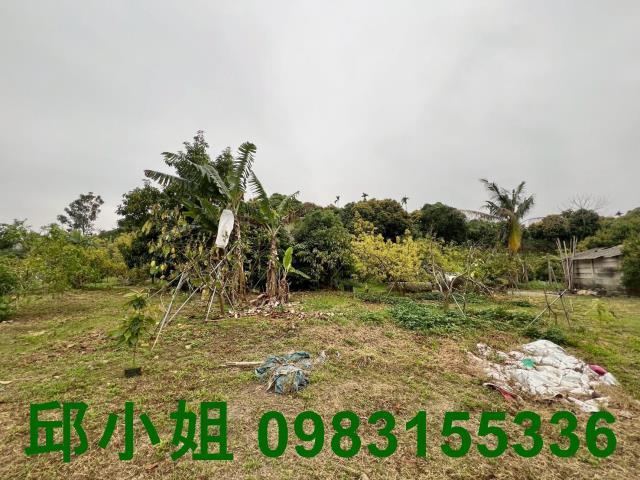 嘉義農地-7
