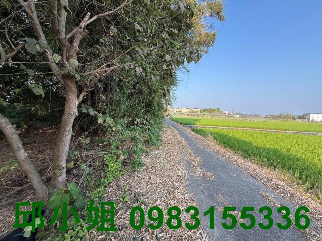 嘉義建地-1