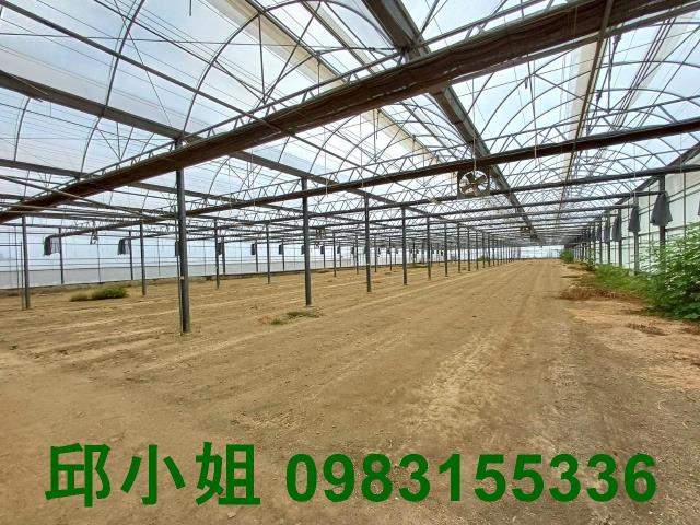 嘉義太保農地-1