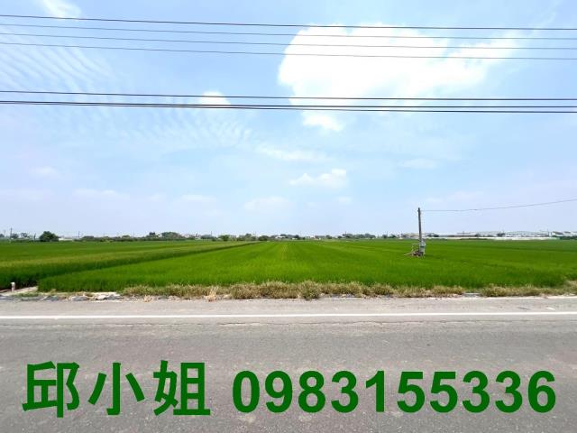 水上農地-0
