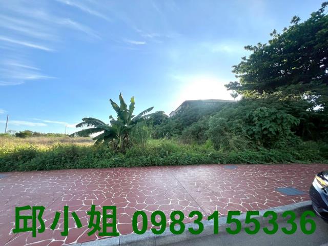 民雄農地-0