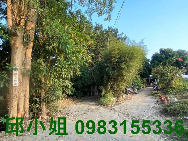 嘉義大林農地-1