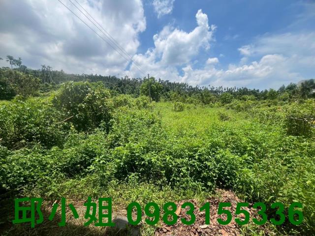 中埔農地-9