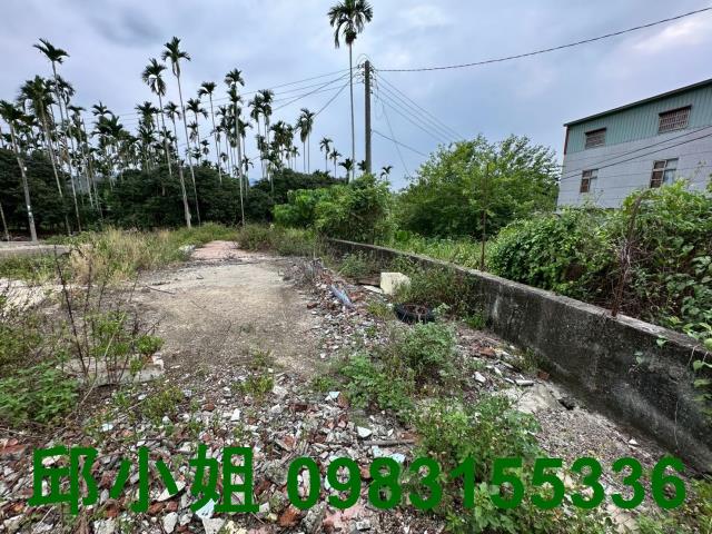嘉義中埔建地-0