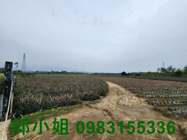 大林農地-0