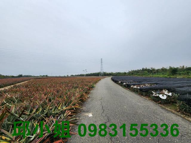 大林農地-1