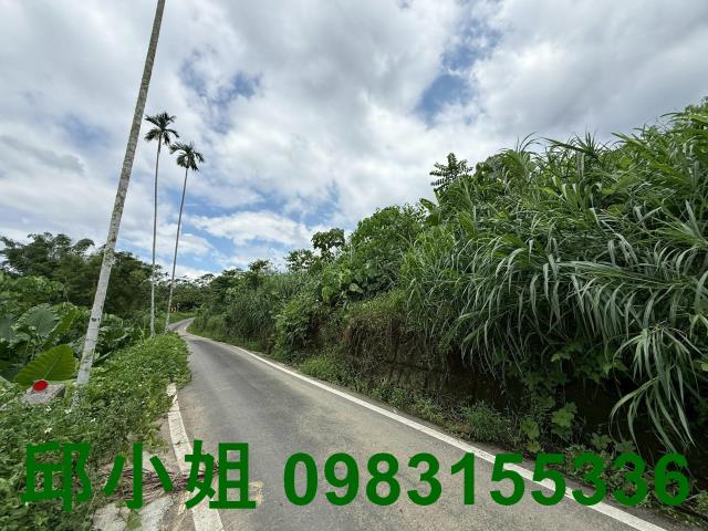 嘉義中埔農地-1