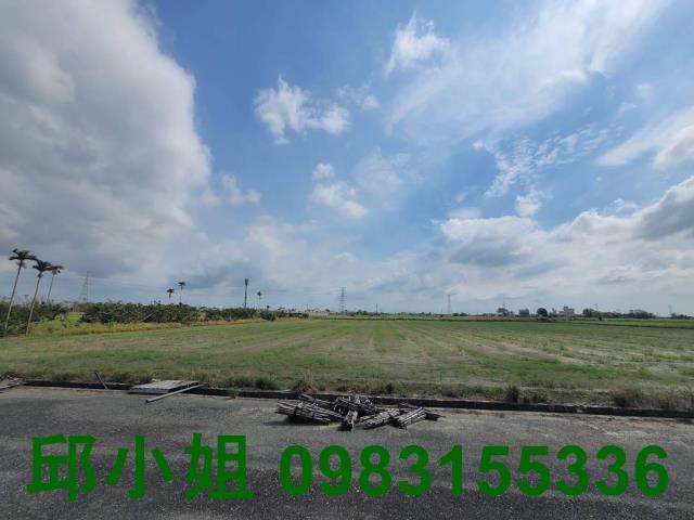 義竹農地-0