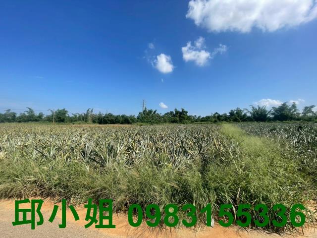 嘉義民雄農地-0