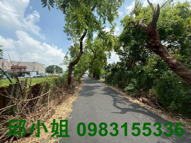 嘉義農地-1