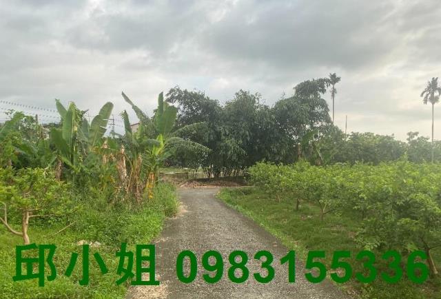 嘉義農地-1