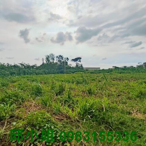 嘉義農地-0