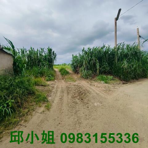 嘉義農地-1