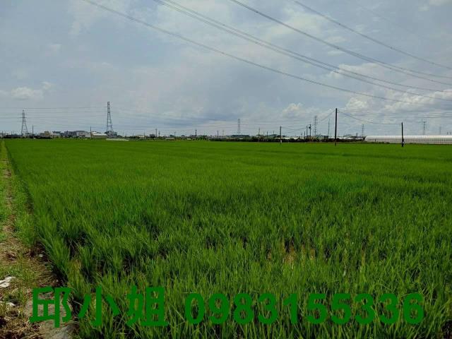 民雄農地-0