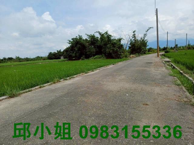 民雄農地-1