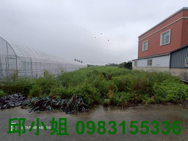 民雄農地-0