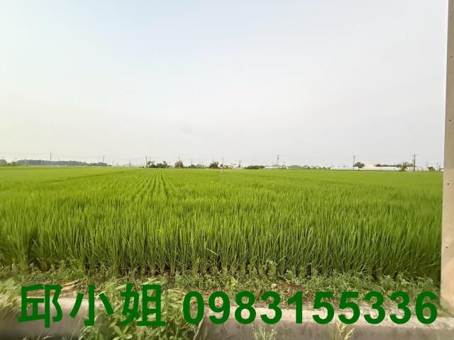民雄農地-0