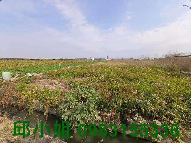 嘉義新港農地-0