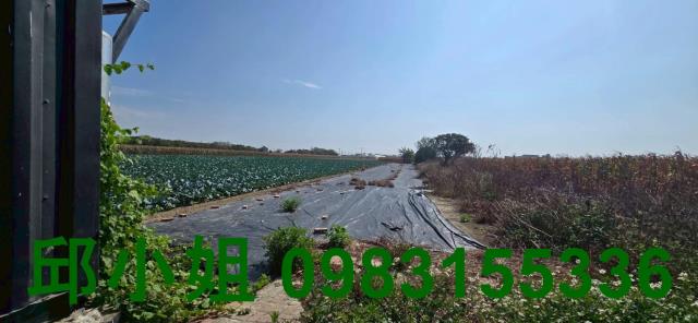 嘉義六腳農地-6