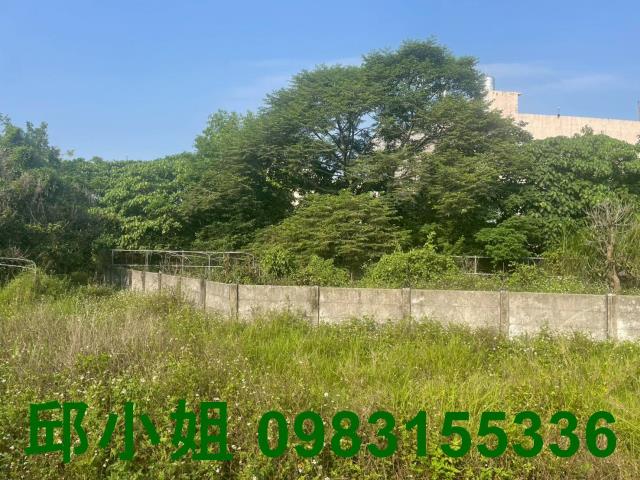 嘉義建地-0