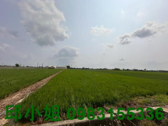 嘉義太保農地-0