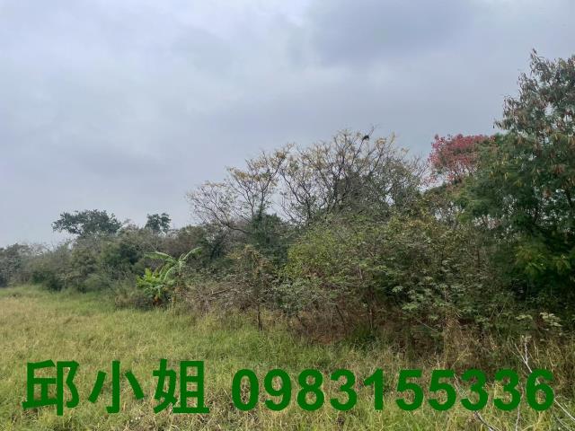 嘉義朴子農地-0